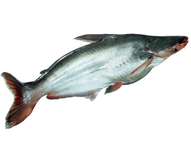 দেশি পাঙ্গাস 1kg